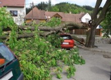 Kwikfynd Tree Cutting Services
brontepark